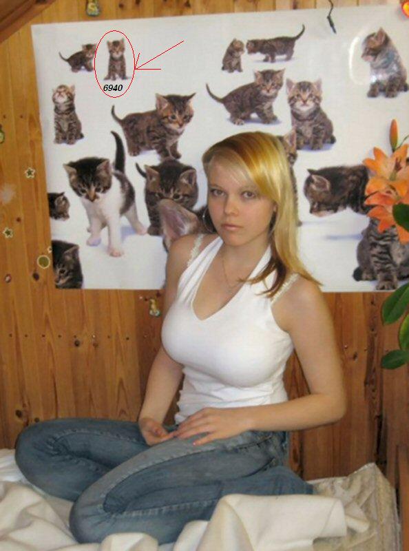 472.DAX Tipp-Spiel, Donnerstag, 15.02.07 82621