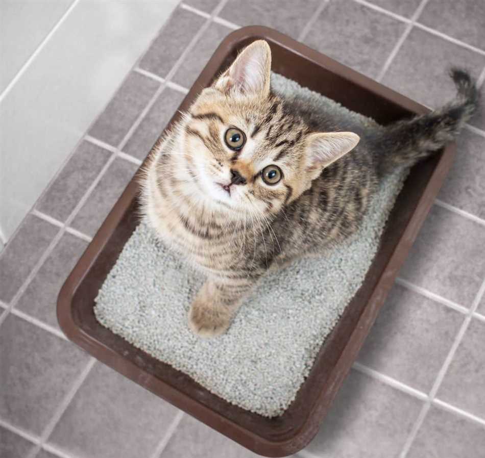 Potential ohne ENDE? 1214560