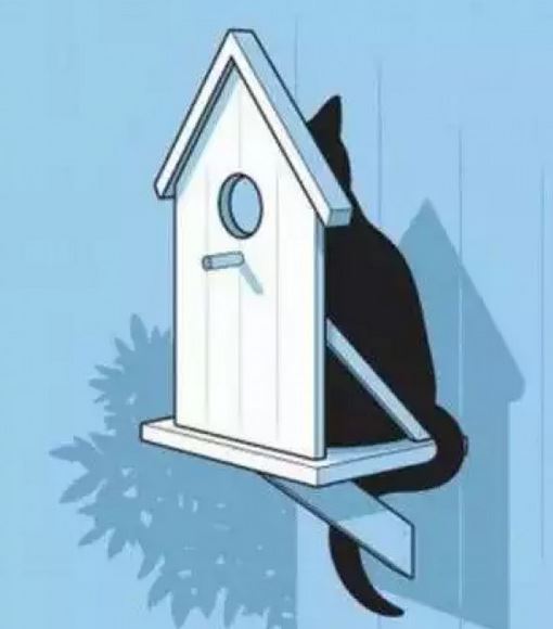 Euromicron, langfristig aufwärts 825742