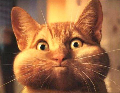 958.DAX Tipp-Spiel, Dienstag,20.01.09, 17.45 Uhr 211459