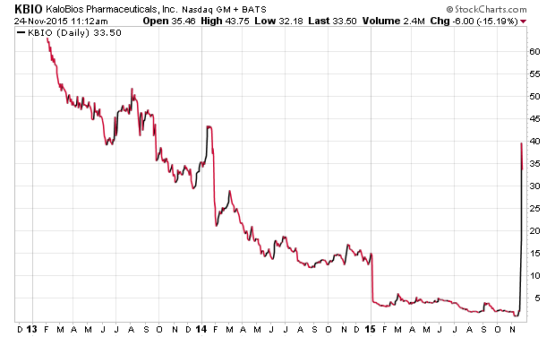 Der USA Bären-Thread 873991