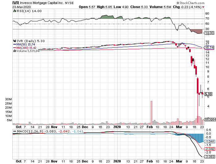 Der USA Bären-Thread 1168478