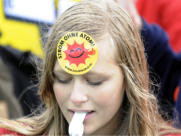 Solon - die deutsche Solar-Perle 347244