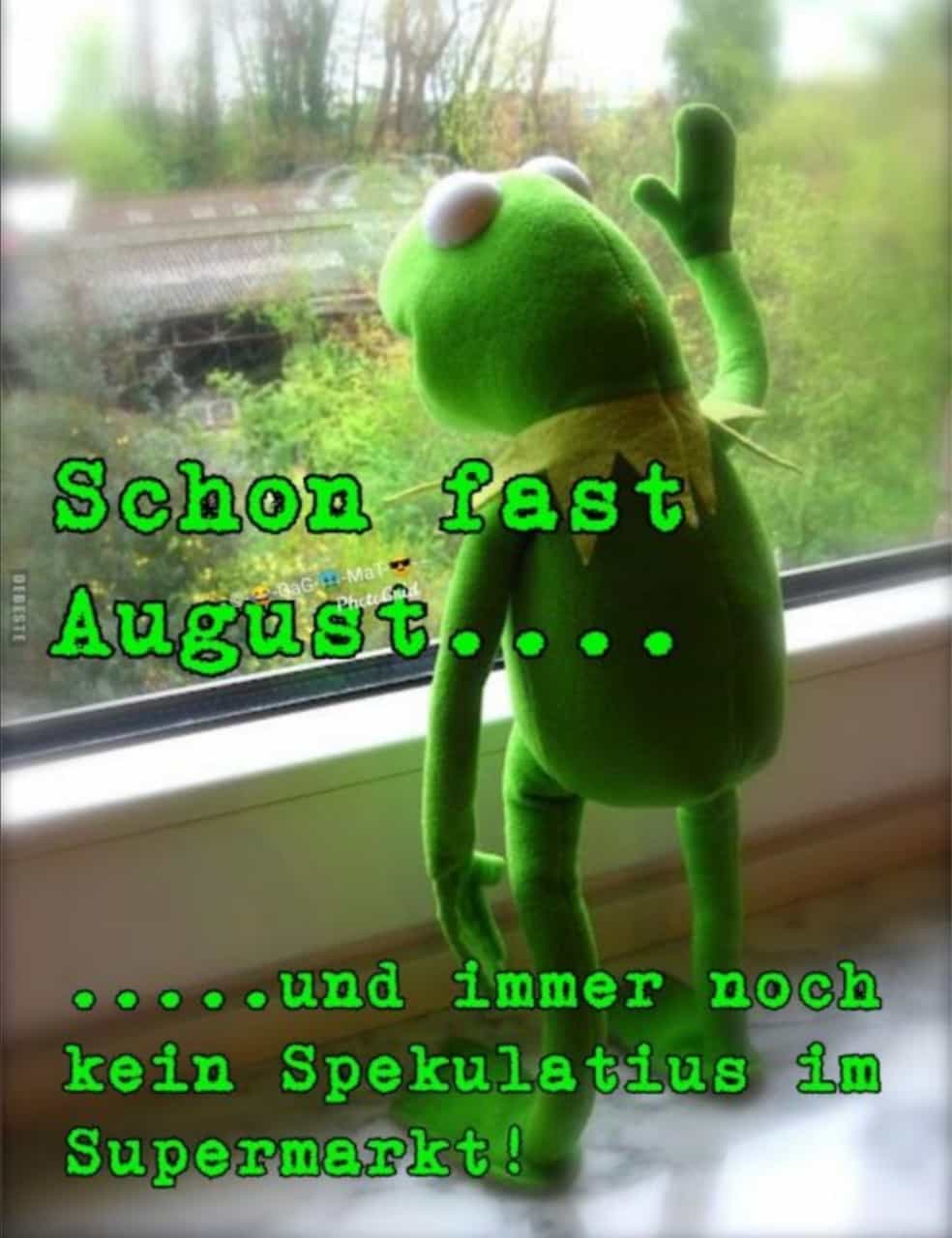 Börse ein Haifischbecken: Trade was du siehst 1266939