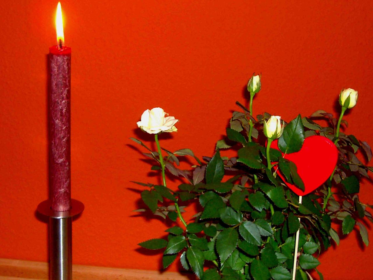 Mania Technologie AG wird sie wieder Auferstehen ? 515731