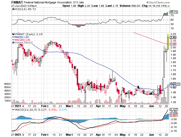 Fannie Mae - Chance auf Verdreifachung bis Juli 1378250