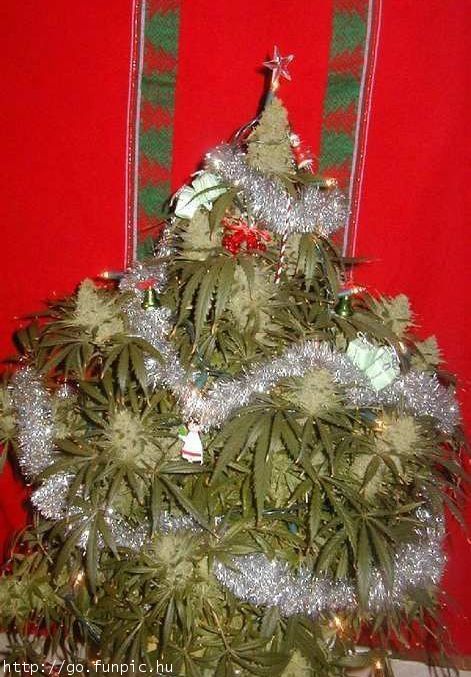 Quo Vadis Dax 2010 - Das Original 367055