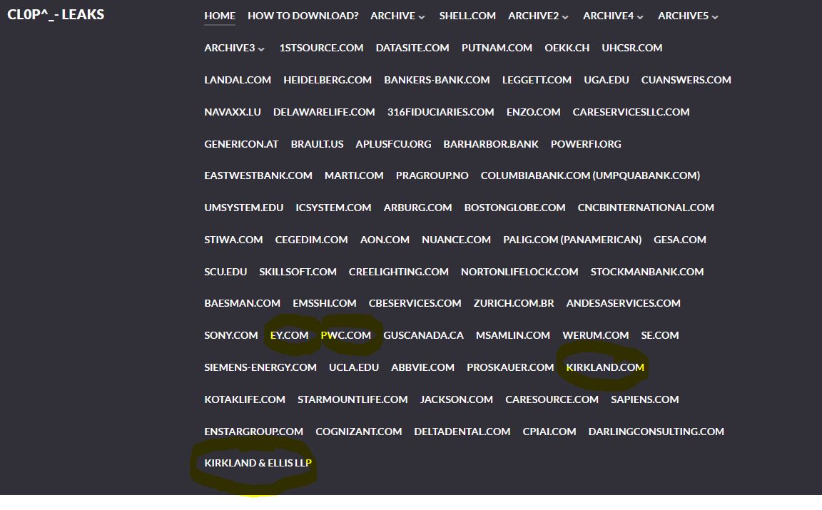 STEINHOFF Reinkarnation 1379144