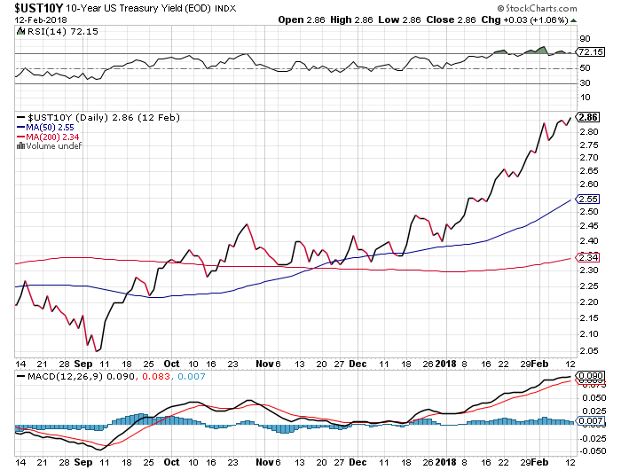 Der USA Bären-Thread 1040636
