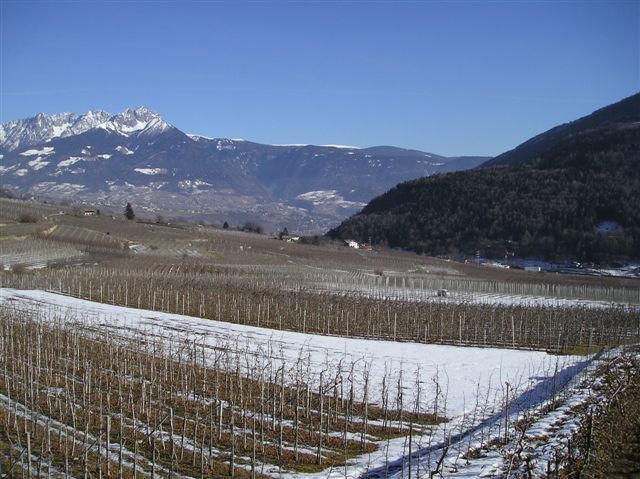 100 % Anstieg binnen 12 Monaten ab jetzt 30731