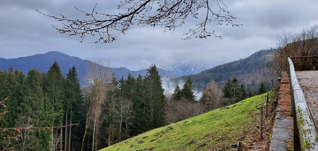 Daimler und andere Aktien und Finanz-Produkte 1361684