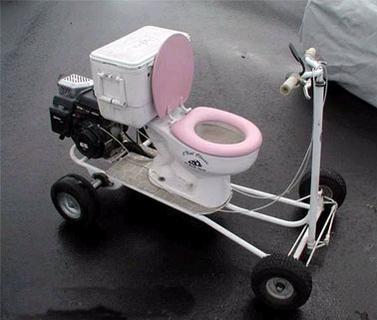 Der USA Bären-Thread 139044