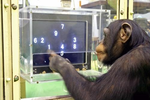 DAX & Co. / Kurz-, Mittel- und Langfristig 1017949