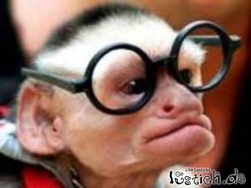 Gibt`s denn hier nix zu K+S? o. T. 292099