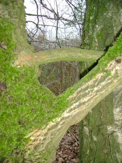 804.DAX Tipp-Spiel, Mittwoch, 11.06.08, 17:45 Uhr 168178