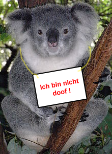 QV ultimate 2012 562163