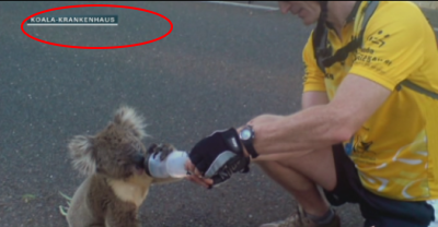 Quo Vadis Dax 2013 - Up, dank Liquidität 645329