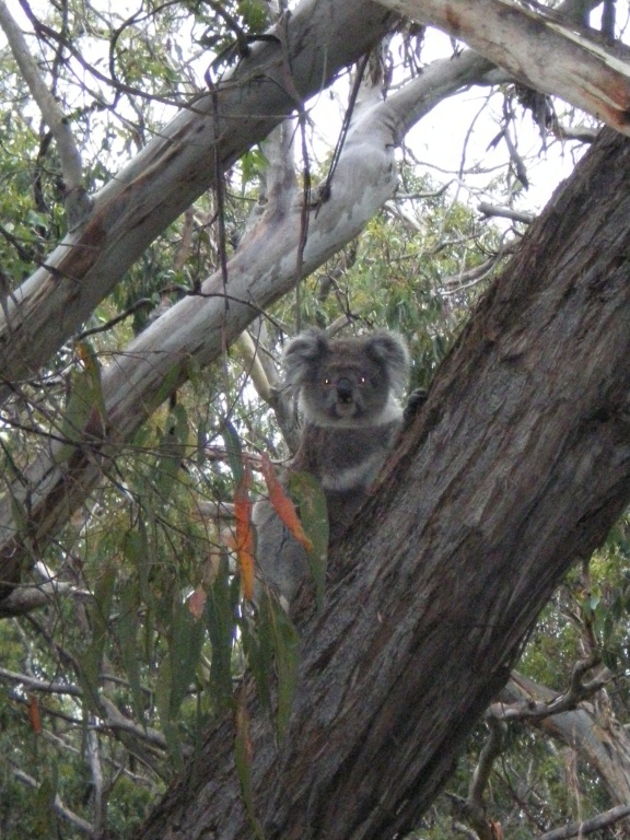 834.DAX Tipp-Spiel Mittwoch, 23.07.2008, 17:45 Uhr 176177