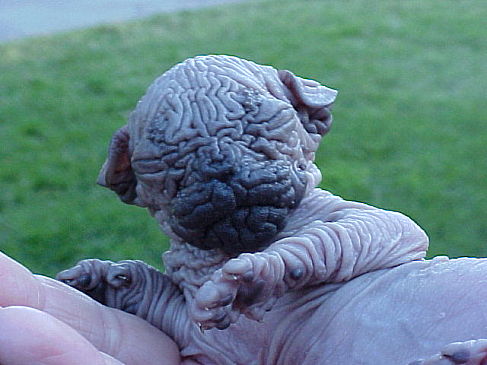 583.DAX Tipp-Spiel, Donnerstag, 26.07.07 111139