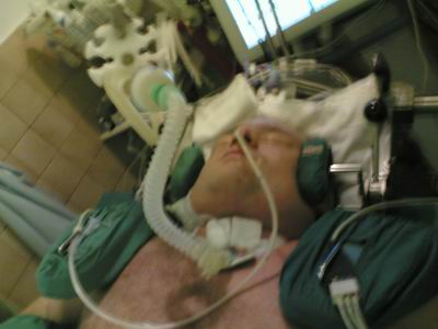 Der USA Bären-Thread 195029