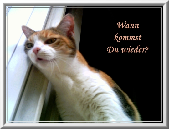 Wenn das Gold redet, dann schweigt die Welt! 355930