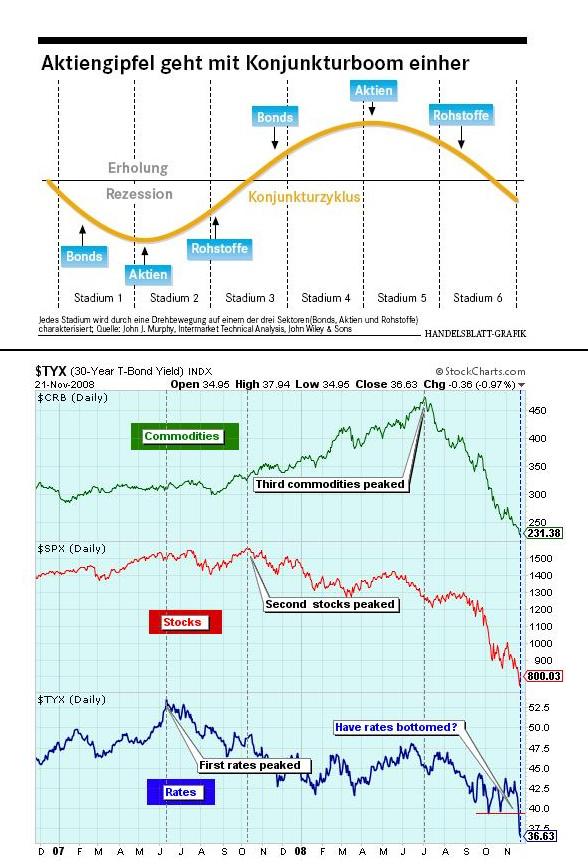 Der USA Bären-Thread 202109