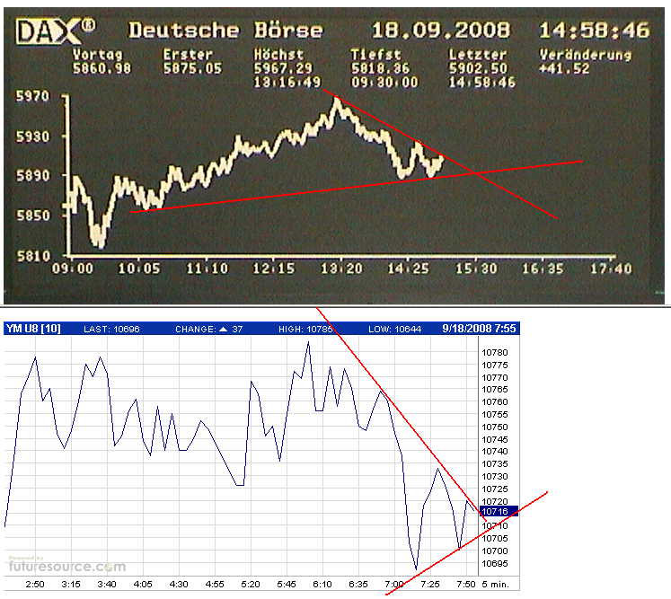 Die Bullen scharren gar nicht mit den Hufen, 187250
