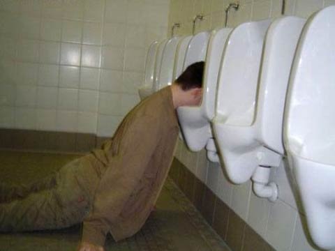 Der USA Bären-Thread 113560