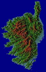 Thompson Creek Metals (Blue Pearl Mng) 108961