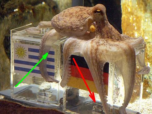 Der USA Bären-Thread 332063