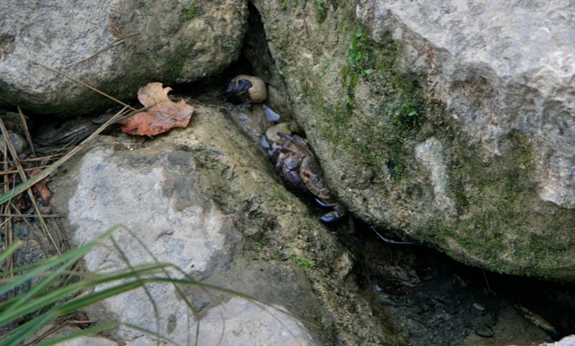 Gold traden - long bzw. short 819997