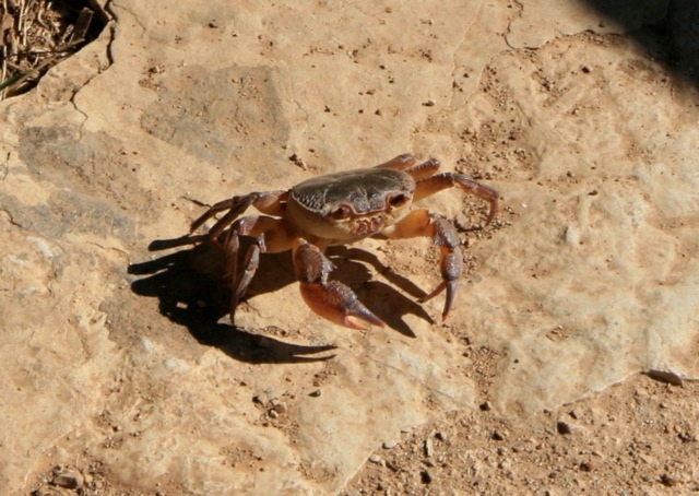 Gold traden - long bzw. short 819942