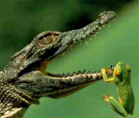 756.DAX Tipp-Spiel, Donnerstag, 03.04.08 157720