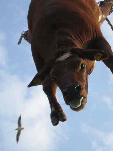 Potential ohne ENDE? 1132494