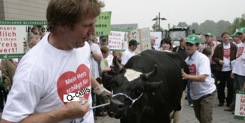 Q-Cells , der Solarzellenriese 202357