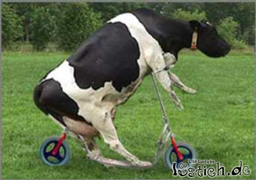 Gibt`s denn hier nix zu K+S? o. T. 360819