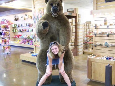 Der Bär streift umher 199694