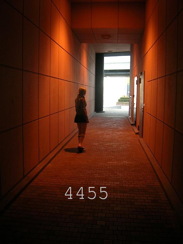 919.DAX Tipp-Spiel *Mitwoch* 19.11.08, 17.45 Uhr 200299