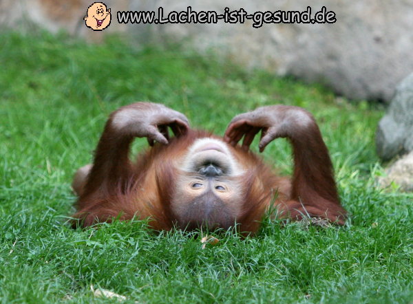 ARISE die canadische Solarperle ! 181544