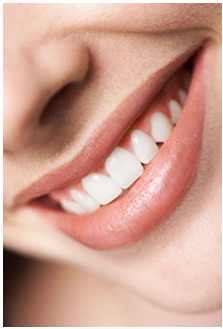 ▶ TTT - Mittwoch, 30.01.2008 145146