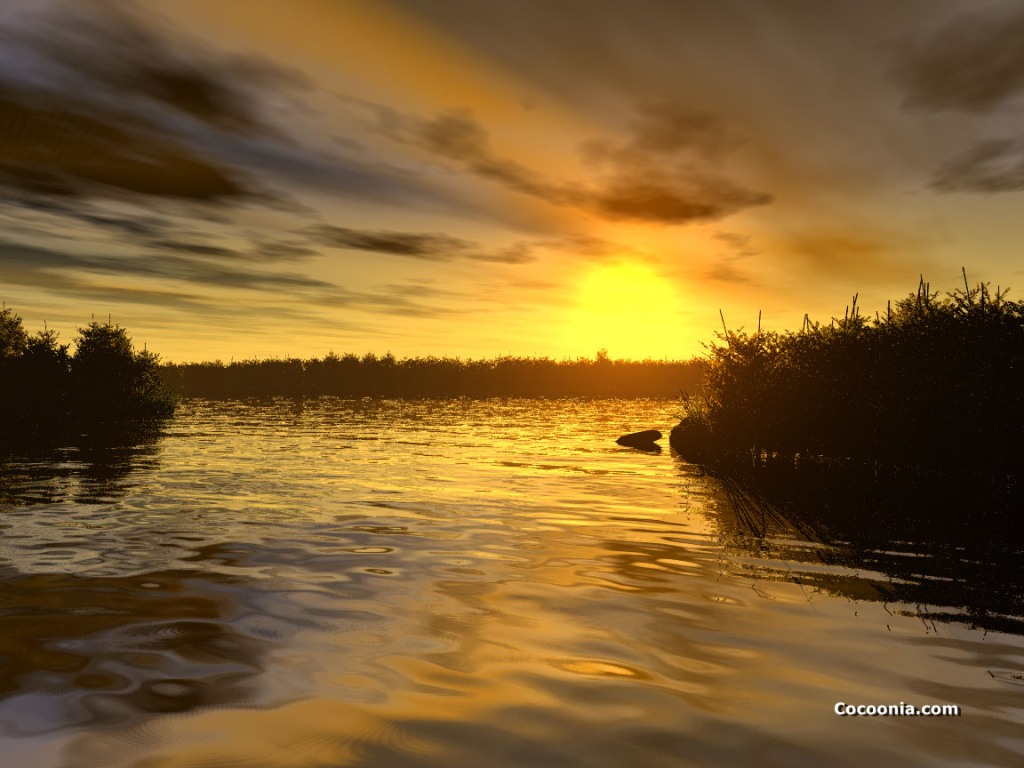 929.DAX Tipp-Spiel *Mittwoch* 03.12.08, 17.45 Uhr 203002