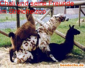 Was meint Ihr, lohnt sich der einstig hier? 408830