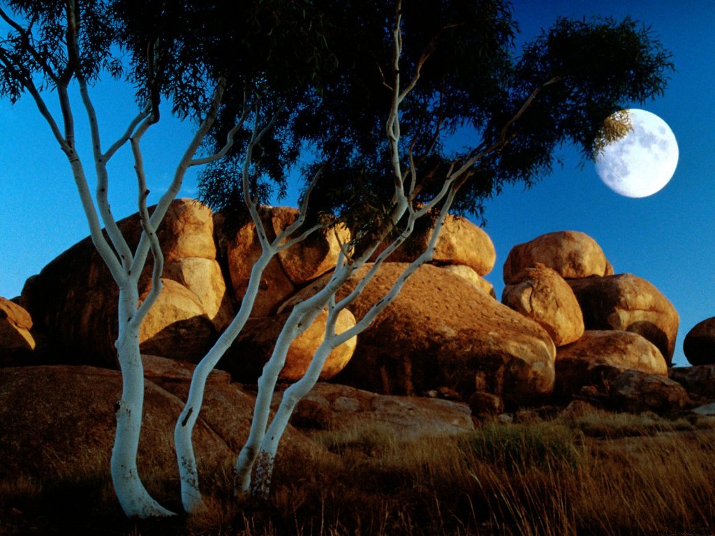 727.DAX Tipp-Spiel, Mittwoch, 20.02.08 149427