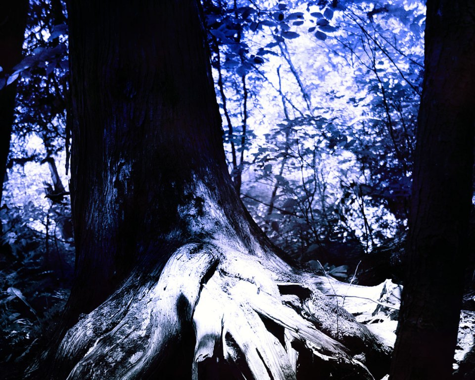 913.DAX Tipp-Spiel *Dienstag* 11.11.08, 17.45 Uhr 198258