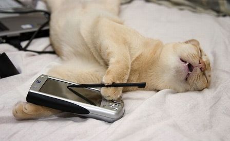 Coop SK Tippspiel (ehem. WMIH) 643472