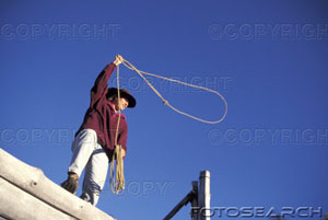 Thompson Creek Metals (Blue Pearl Mng) 89030