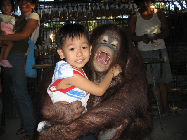 1027.DAX-Tipp-Spiel, Mittwoch 29.04.09 229814