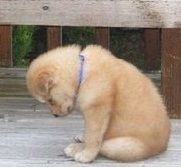 QSC 100% +X ab jetzt! 456798