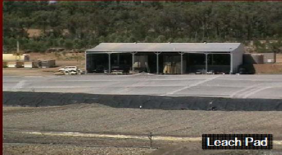 Alcyone R.- The next australian silverproducer ? 312473