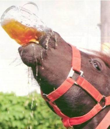 Yukon Nevada Goldmines: bald positive News? 295773